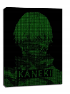 H4ck3d - Kaneki, Tokio Ghoul - Canvas Painting