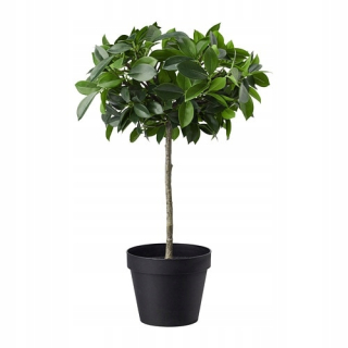 IKEA FEJKA umelý kvet v kvetináči figový plač