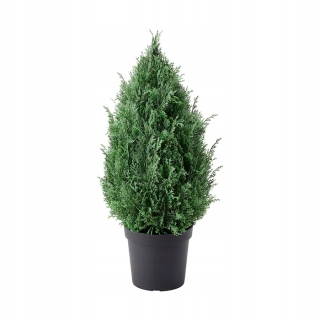 IKEA Artificial Plant Plant v hrnci Cypress 15 cm