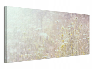 Ian Winstanley Field Flowers Meadow - maľovanie 100x50 cm