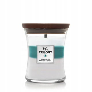 Voňavá sviečka ľadová Woodland Woodwick 1 ks.