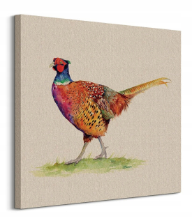 Jane Bannon Pheasant Obyčajný obraz Canvas 60x60 cm
