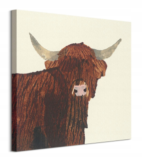 Highland Plaght Cow Art, Zvieratá bez rámu 60 x 60 cm