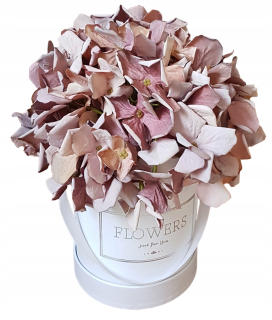 Zloženie Truhlík Hydrangea popínavá fialová