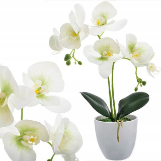 Umelý zloženie potokov orchideí vetiev 35