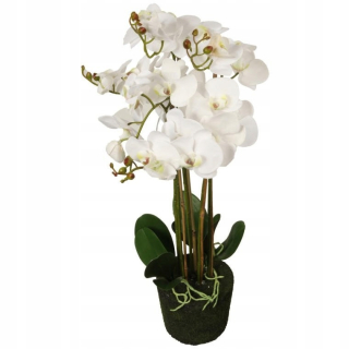 Orchidea v goliath ST-90 Pot White 90 cm