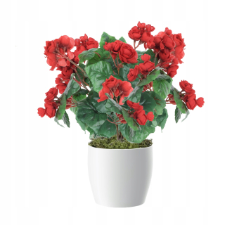 Kvety na balkóne: Umelá Begonia 35 cm, 4 ks.