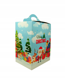 CARTON DARTE Vianoce 290x190x350 Mikołaj 12 PCS.