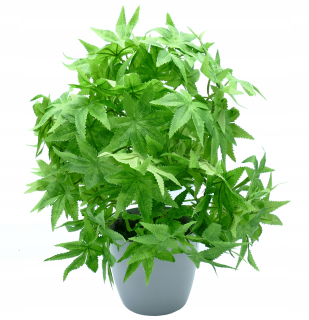 Konope umelá kvetina marihuany 42cm