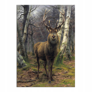 Kráľ lesa, krásny jeleň - Rosa Bonheur, obrázok