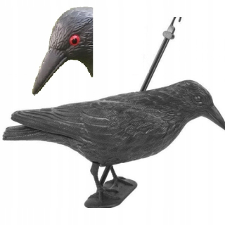 Raven Bird Repeller, hlodavce realistické oko!