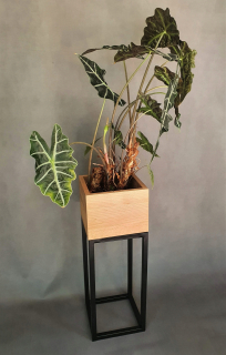 Stojan na kvety - Kvetinový loft pot buk strednej priemyselnej 78cm