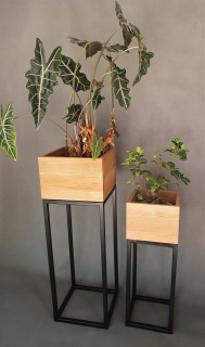 Stojan na kvety - Kvetinový Loft Big Donic 30x30 Beech Big 90 cm