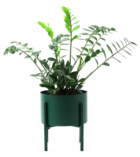 Stojan na kvety - Kvetinový kovový kvetináč 37 cm zelená jakpol
