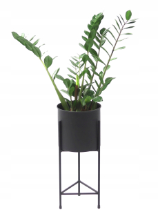 Stojan na kvety - FIORIET FIORIAL 50cm čierna loft hit