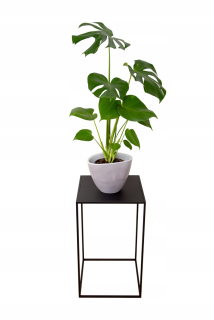 Stojan na kvety - Korfu XL kovový kvetinový záhon, 60 cm stôl, stojan