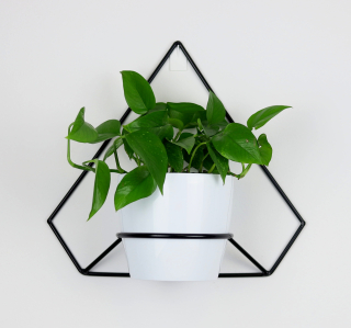 Stojan na kvety - Wall Metal Flower 38 / 42cm Black Pentagono