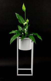 Stojan na kvety - Kvetinový Metal Ugo 60cm White Loft Hit