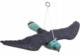 Flying Falcon Falcon Bird Repeller Pigeon