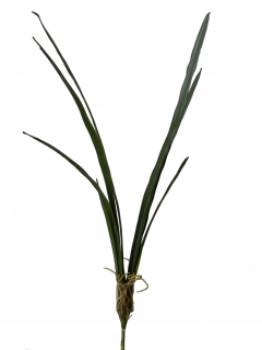 Leaf na orchidea s vysokým arrrose umelé ako živá