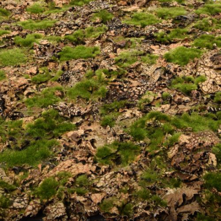 Panel Mata Artificial Bark Moss 50x100 cm