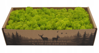 MECH Spring Green Spring - Jasna Green - 500g