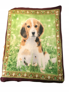 Prikrývka na posteľ - Prikrývka Stilex Polar 210 x 160 cm biela, modrá odtiene