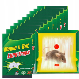Milikulárna myš na potkanoch labky myši 10x