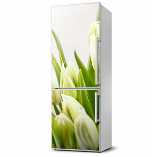 Tapeta na chladničku magnetu TULIPS 60X180