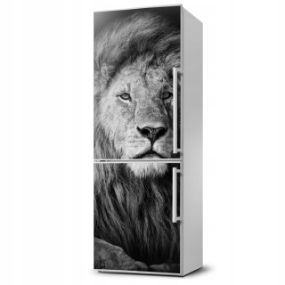 Magnetická rohož pre portrét chladničky Lion 60x180