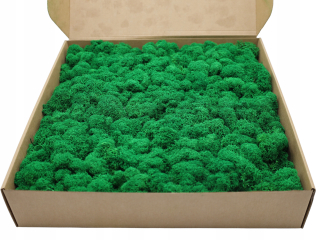 Moss Chrobotek Fińsk 1 kg.