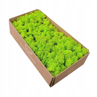 MECH Škrabance Bright Green 500 g