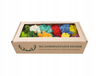 MECH Škrabanie Norwegian Sample Mix Color NOR 0,4 kg
