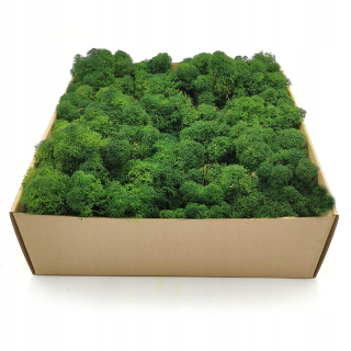 Dekoračný mach v kartónovej krabici 500g 30 x 30 cm