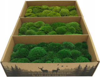 Mach vankúš Carton 200g Net Premium