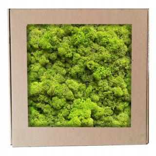 Mech škrabance jasne zelené 500g nórsky jar