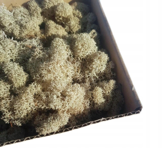 MECH Škrabanie Natural Ozdobná sobie 500g