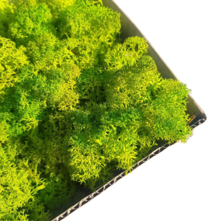 MECH Spring Spring Green Sobie čelenka 500g