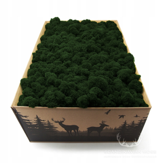 Dekoratívny mach v kartónovej farbe 4000 g 40 x 60 cm