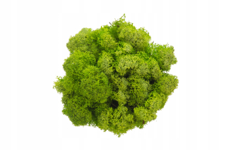 MECH škrabance. Clear green 1 kg netto