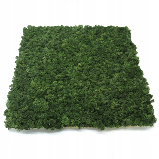 Moss pre stenu - panel machu temnoty