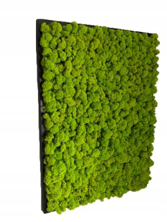 Moss prírodné obraz s machom dekorácie! 30 cm x 40 cm
