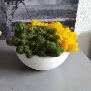 Miska Big s MCHEM výška 10cm