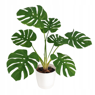 Monster Artificial Plant ako Alive