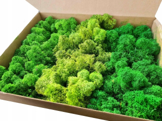 Dekoratívny mach - Reindeer Crab Moss 3 farby MIX Premium