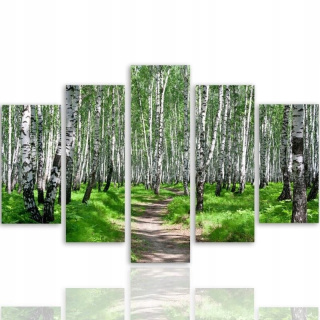 Obrázok 5 Czbozowa Forest Forest pre obývaciu izbu 250x120