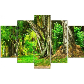 Obrázok 5-CZ TYPY A TYP A V PARK 250X120