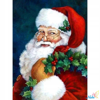 Nabi DIY 5D Diamond Painting Santa Claus