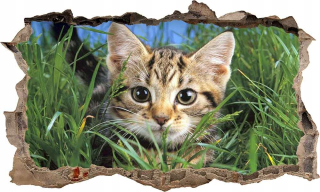 Nálepka plagát Cat Cat 3d xxxxxxxxl 100x166 cm