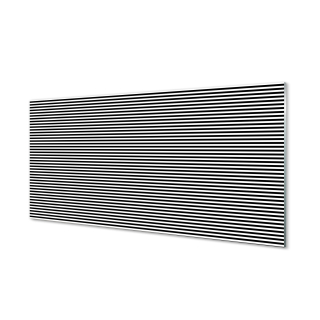 Moderný grafický obraz Plexige Zebra Stripes 120x60